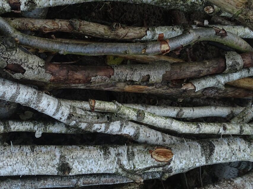 Ksylitol fiński z brzozy