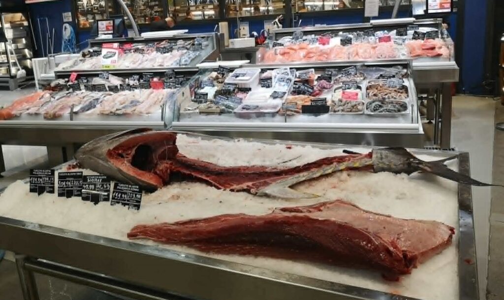 Świeży tuńczyk porcje
