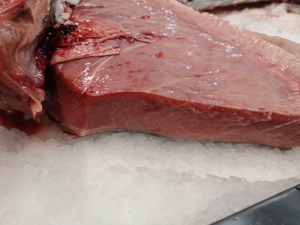 Świeży tuńczyk toro