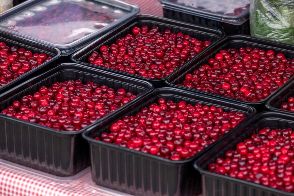Świeża żurawina w plastikowych pojemnikach na straganie